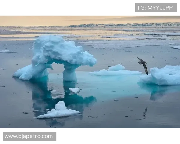 全球气候变化加剧，各国应对政策迭代升级，国际合作面临新挑战